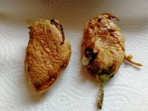 Blüte abtropfen lassen 300x225 - Fiori di Zucca - gefüllte Zucchiniblüten