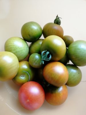 grüne tomaten 300x400 - Grüne Tomaten Chutney mit Ingwer