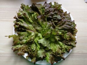 Teller Salat