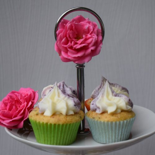 Mini Muffin 500x500 - Mini Cupcakes mit Zucchini und zweifarbiger Frischkäse-Creme