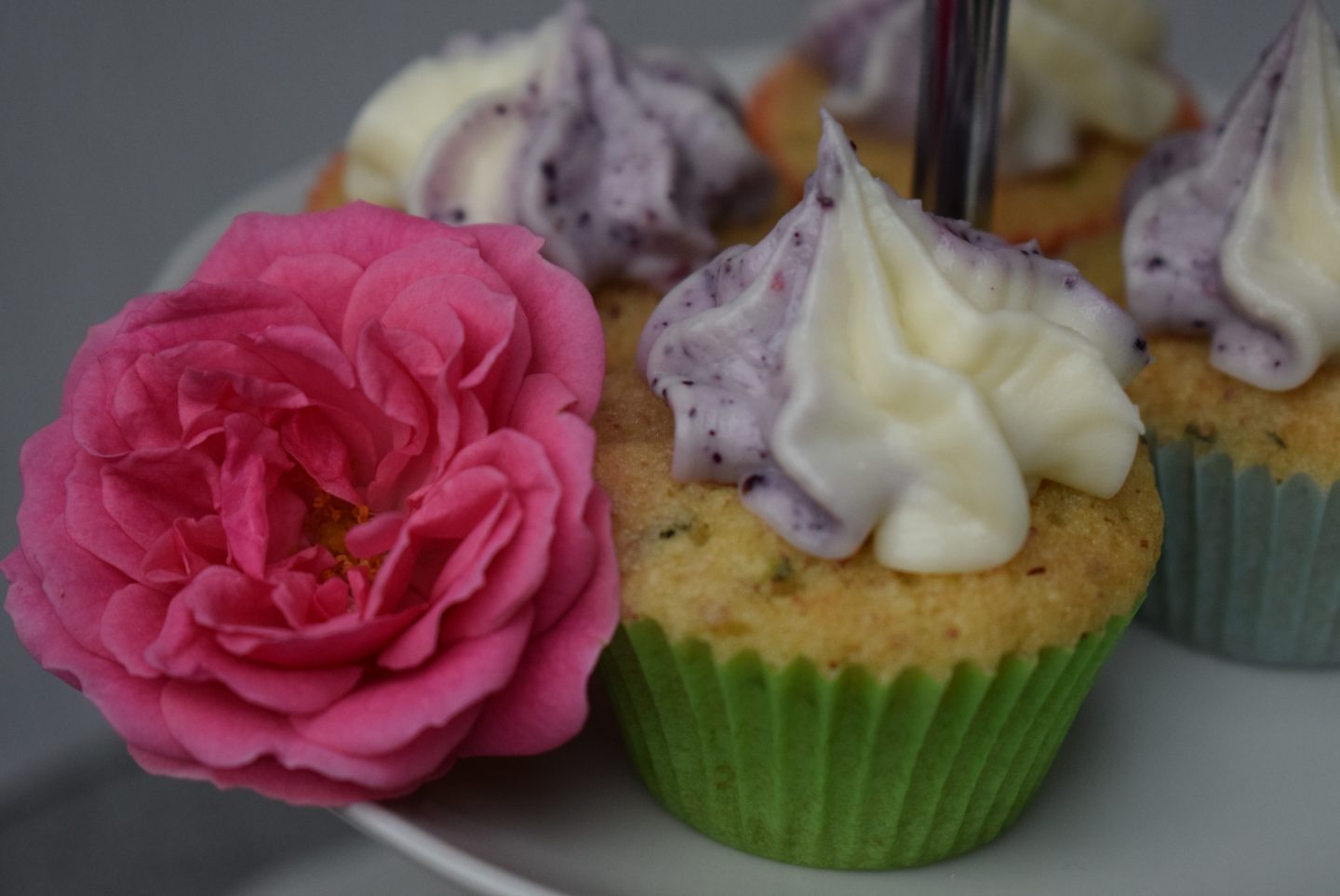 Mini Muffin Rose 1440x963 - Mini Cupcakes mit Zucchini und zweifarbiger Frischkäse-Creme