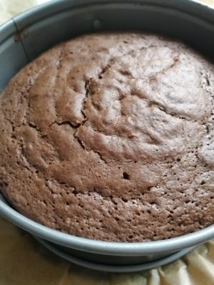 IMG 20190512 101201 300x400 - saftiger Mandel-Schokokuchen - Tag des Schokoladenkuchens